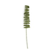 Sjaal met verhaal - Vilten tak Eucalyptus