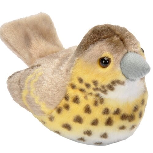 Vogel met geluid - Zanglijster