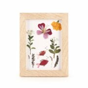 Kikkerland - Pressed flower frame art