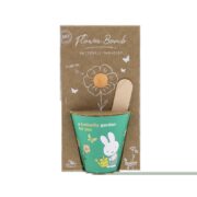 Blossombs - Grow kit Nijntje groen butterfly