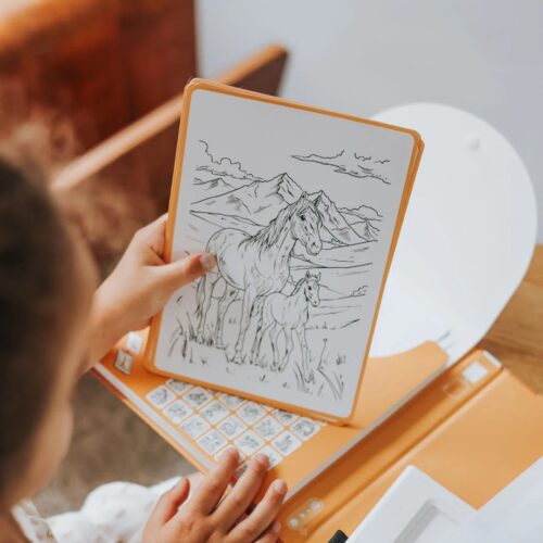 Kidywolf - REFILL kidydraw PAD - horses