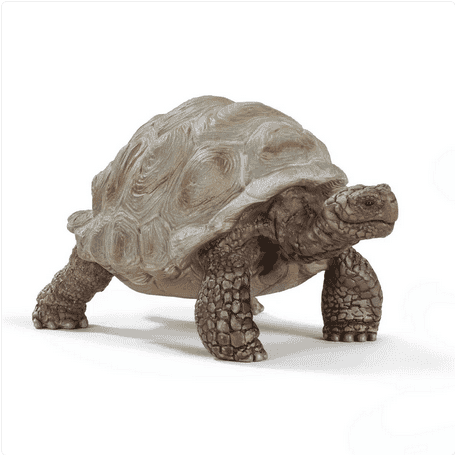 Schleich - Reuzenschildpad (14824)