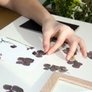 Kikkerland - Pressed flower frame art