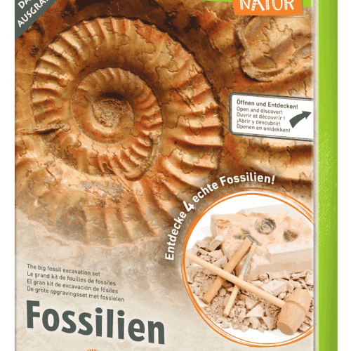 Moses - Uithakset Fossielen