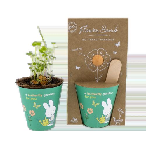 Blossombs - Grow kit Nijntje groen butterfly
