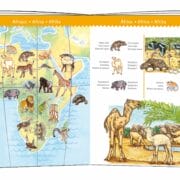 Djeco - puzzel observatie de dierenwereld 100 stukjes