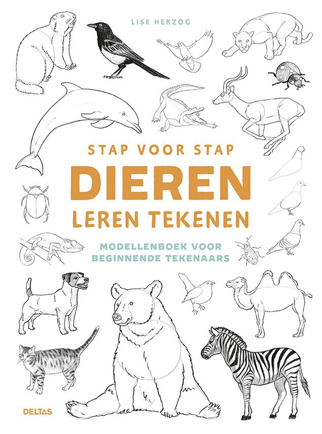 Deltas - Stap voor stap dieren leren tekenen
