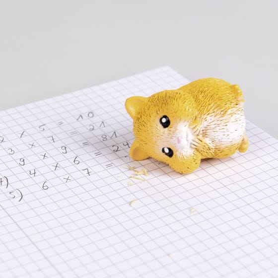 Moses - Hamster gummetje