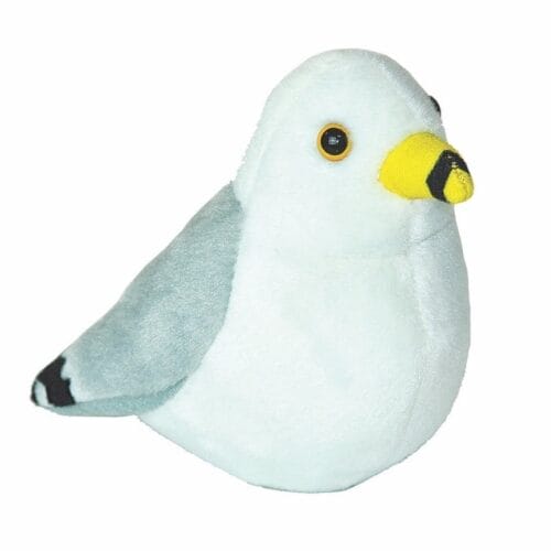 Vogel met geluid - Zeemeeuw