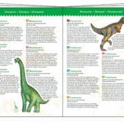 Djeco - puzzel observatie dinosaurus 100 stukjes DJ07424