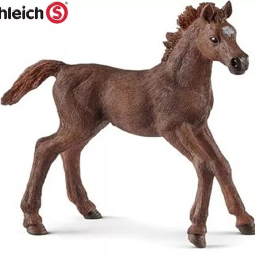 schleich - Engelse volbloed veulen (13857)