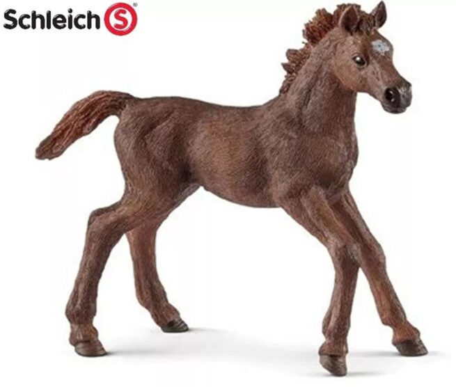 schleich - Engelse volbloed veulen (13857)