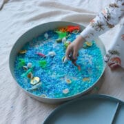 Jellystone design - Tray play speelbak blauw