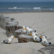 Sjaal met verhaal - Vogeltje van vilt - Meeuw