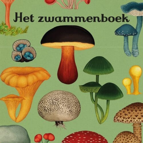 Lannoo - Het Zwammenboek