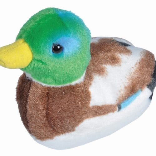 Vogel met geluid - Eend