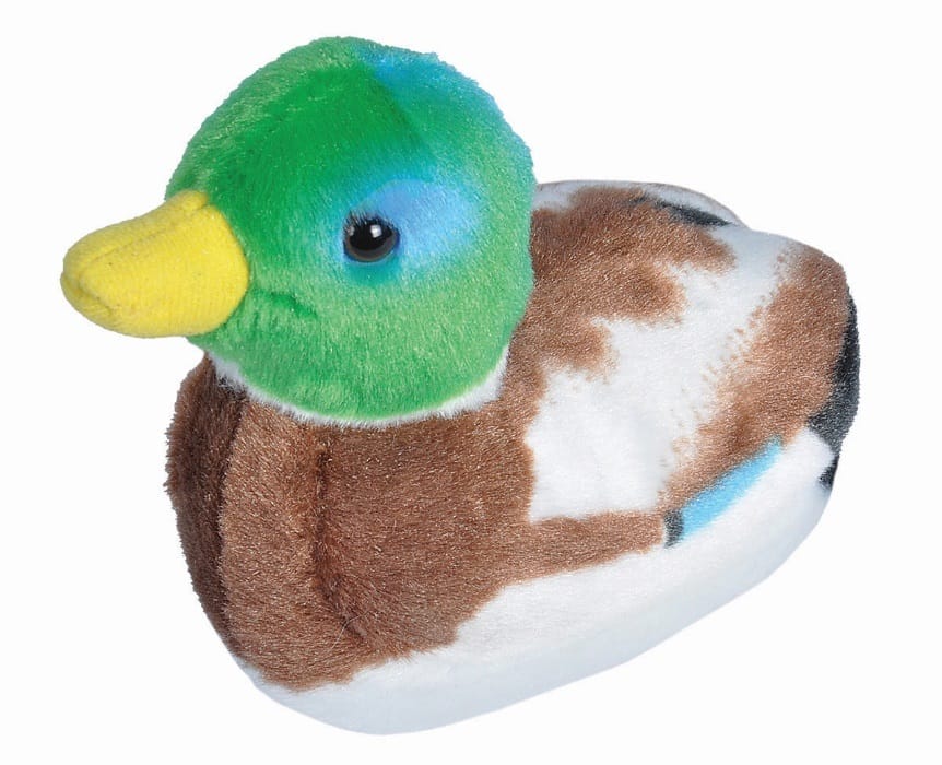 Vogel met geluid - Eend