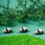 Petit Boum - Sensorische fles Panda