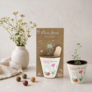 Blossombs - Grow kit Nijntje flowers for you