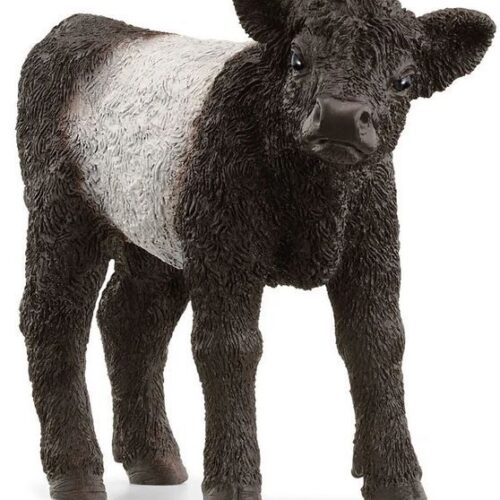 Schleich - Galloway kalf 13969