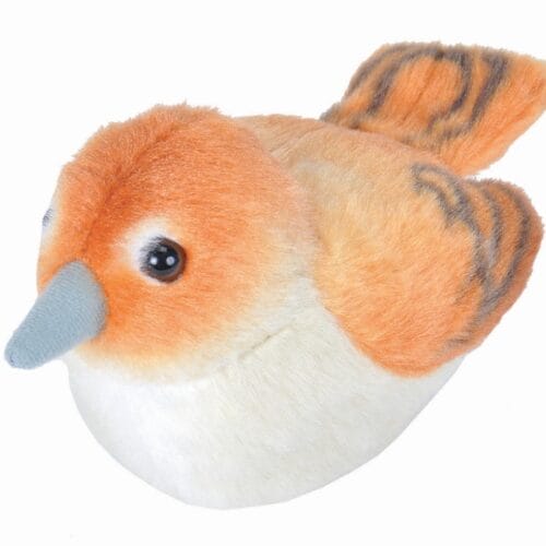 Vogel met geluid - Nachtegaal