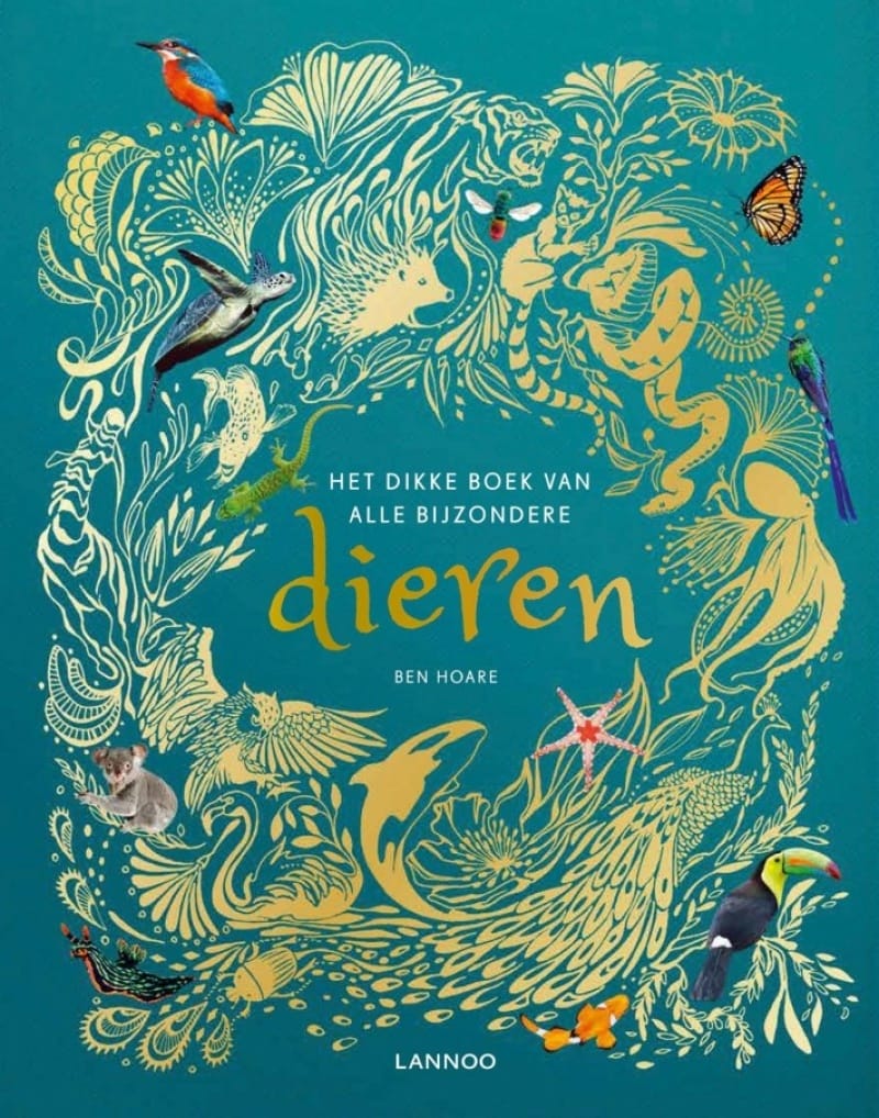 ea074a326b02ab56356c5f906df04687