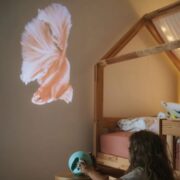 Kidywolf - Kidystar ocean mint - HD projector