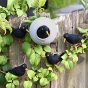 Sjaal met verhaal - Vogeltje van vilt - Merel